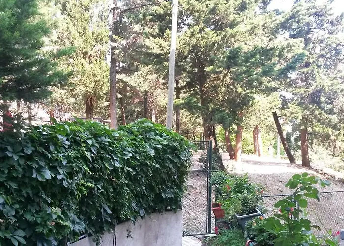 Anamarija * 杜布罗夫尼克