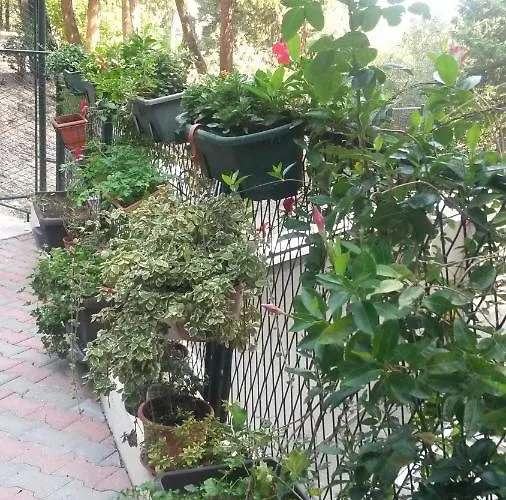 Anamarija Ντουμπρόβνικ