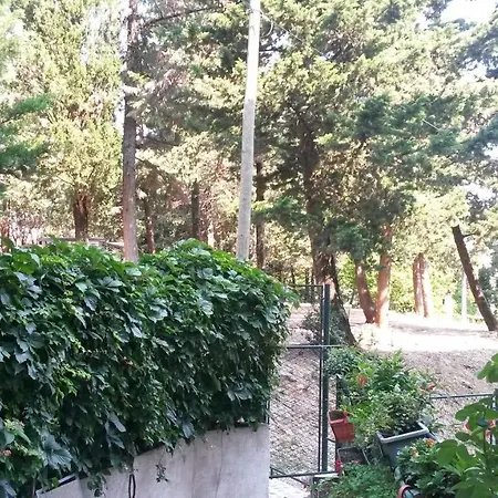 Anamarija * דוברובניק